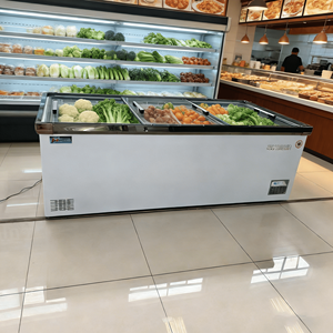 <span class=keywords><strong>Congelatore</strong></span> <span class=keywords><strong>Orizzontale</strong></span> con Sbrinamento Manuale, Copertura in Vetro Curvo, Controllo Digitale della Temperatura e Congelamento Rapido - Product Image 2