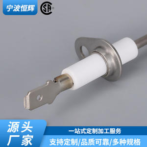 Capteur de température pour four à micro-ondes NTC 025-37499-000, pièce de rechange en acier inoxydable pour capteur de flamme de cuisinière à gaz - Product Image 4