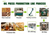 Presse à huile à vis 200-350 kg/h pour arachides, noisettes, noix de coco, sésame, soja, avocat, tournesol – Machine de pressage d'huile