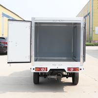 KEYU Design Moderne Respectueux de l'Environnement Camionnette Utilitaire Électrique Mini à 2 Places Nouvelle Énergie