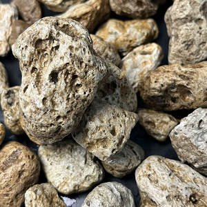 Granulés de pierre de lave blanche, mélange de terre horticole léger pour les plantes succulentes, cactus, haute rétention d'eau, ornements de jardin - Product Image 6