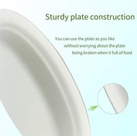 Vaisselle jetable biodégradable écologique personnalisable, assiettes de présentation, couleur naturelle, assiettes en bagasse
