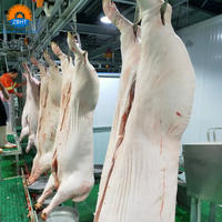 Ligne d'abattage automatique de porcs ZBHT, haute capacité, 200 têtes par heure, équipement d'abattoir pour abattoir porcin moderne