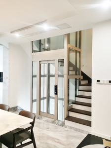Mini-<span class=keywords><strong>ascenseur</strong></span> domestique Wemet pour villa, <span class=keywords><strong>ascenseur</strong></span> intérieur/<span class=keywords><strong>extérieur</strong></span>, <span class=keywords><strong>prix</strong></span> de vente - Product Image 6