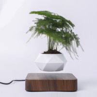 Magia levitando olla nórdico estilo magnético levitando planta creativo y moderno regalo flotante flor maceta decoración hogar