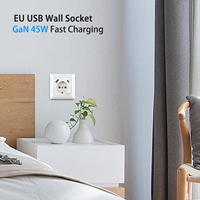 Prise murale EU TUV pour PD45W avec 2 ports USB-C, placage cuivre-nickel, charge rapide, mise à la terre standard