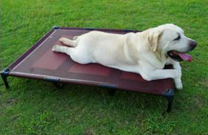 Большая водонепроницаемая черная кровать для собак с алюминиевой рамой - Product Image 6