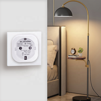 Prise connectée Zigbee Bilihondim EU avec surveillance de la consommation 200W, compatible Google Assistant, contrôle sans fil standard, matériau ABC