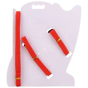 Collare per <span class=keywords><strong>Gatti</strong></span> Regolabile in 10 Colori, Set di Guinzaglio e Pettorina in Nylon Comodo per <span class=keywords><strong>Gatti</strong></span>, Conigli e Gattini - Product Image 3