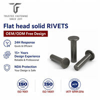 Rivets plats personnalisés TianFang pour plaques de garniture de frein, Cuivre brillant, Conception OEM ODM et approvisionnement en gros, Offre rapide