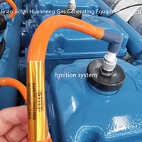 Générateur silencieux 500 kW 600 kW Prix Biogaz