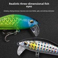 Leurre Artificiel ABS Frenzy pour Pêche au Bar, au Maquereau Espagnol et au Poisson-Chat, Imprimé, à Lentaune Coulée, Longue Portée, pour Pêche Sous-Marine