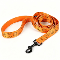 Ensemble collier et laisse pour chien personnalisés en gros, impression sur mesure avec étiquette et poignées rembourrées