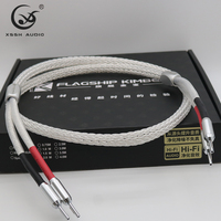 Conducteur YIVO plaqué argent OCC pour un timbre délicat et propre avec des aigus et des basses prononcés, performance sonore HIFI pure OEM ODM