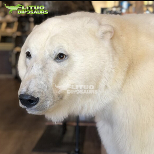 Oso Polar Animatrónico Mecánico de Tamaño Real - Product Image 2