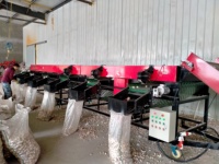 Fabrieksleverancier van fruit- en groentesorteer- en -gradeermachines, ui- en knoflooksorteer- en -reinigingsmachines te koop