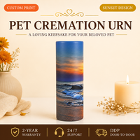 Urne funéraire en papier biodégradable et écologique pour animaux de compagnie, pour la dispersion des cendres de chats et de chiens, design coucher de soleil sur la plage