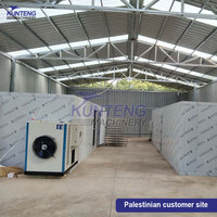 Machine de séchage automatique des prunes et des abricots, ligne de production industrielle de lavage et de séchage des prunes, usine de déshydratation des fruits, ensemble de transformation