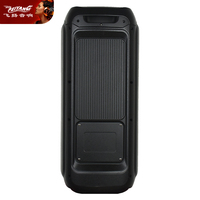 Bafles de Bajos Dobles de 10 Pulgadas para Coche, Sistema de Audio Inalámbrico Profesional con Altavoz de Cilindro Activo, USB, para Fiestas, DJ, PA, 300 200
