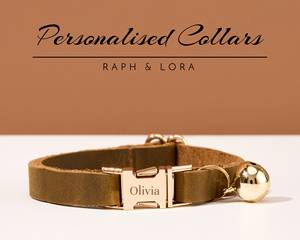 Fancy Cowhide Cat & Small Dog Collar Set Diseño táctico moderno Collar de cuero verde personalizado con campana - Product Image 6