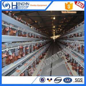 Nouvelle <span class=keywords><strong>promotion</strong></span> cage à poulets/poulaillers d'occasion équipement agricole cage à poulets de chair - Product Image 6