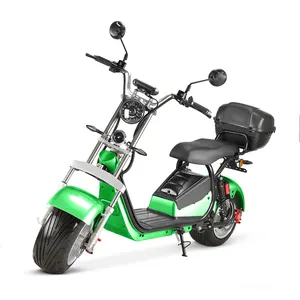Scooter électrique 1500W sans balais Citycoco pour adulte, Scooter électrique pour location, scooter électrique professionnel pour adultes