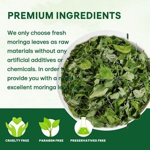 Tè in Foglie di Moringa NutriCha, Tè Sfuso di Alta Qualità, Biologico, Puro e Naturale, Etichetta Privata OEM, 20 Bustine di Tè Salutare alle Erbe - Product Image 4