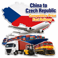 Agent d'expédition professionnel Chine-République tchèque DDP, service logistique porte-à-porte par air et mer