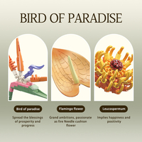 Set de Bloques de Construcción de Aves del Paraíso Tropicales, 796 Piezas, Pétalos Móviles, Decoración para el Hogar, Juguete STEM para Desarrollar la Motricidad Fina, Regalo para Niños de 8 Años en Adelante