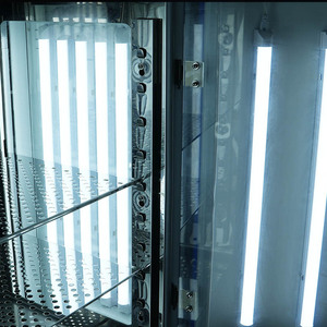 Incubatore Illuminato BIOBASE M per Germinazione Piante, Coltivazione <span class=keywords><strong>di</strong></span> Piantine, Coltura Microbica, Monitoraggio Qualità dell'Acqua, Determinazione BOD - Product Image 4