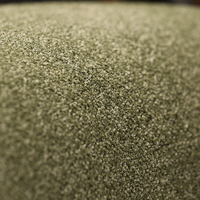 Fauteuil de détente rembourré vert avec accoudoirs en bois, siège d'appoint pour salon