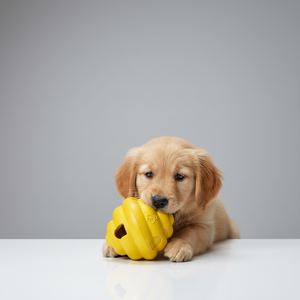 Giocattolo da Masticare per Cani in Gomma Naturale, Resistente, Non Tossico, per Stimolazione <span class=keywords><strong>Mentale</strong></span> e Sollievo dal Noio - Product Image 5