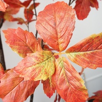 Design de mode automne automne thème décoration érable rouge plante arbre en Pot artificiel feuille de raisin arbre