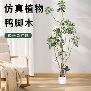 Plante artificielle Schefflera Dream Castle 100-200cm, arbre décoratif d'intérieur, décoration pour la maison et le bureau - Product Image 1