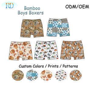 Sous-vêtements pour garçons Ruidian, caleçons en viscose de bambou doux, sous-vêtements pour enfants, imprimé tendance cool, shorts pour petits garçons, RTS/sous-vêtements personnalisés - Product Image 1