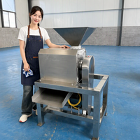 Commerciële Horizontale Single-Pass Fruitontpitter & -pulpmachine Zaadverwijderaar 20kg/u capaciteit 220V 4000W