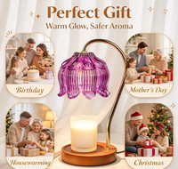 Lampe chauffe-bougie électrique violette avec minuterie, chauffe-bougie électrique, cadeau d'anniversaire ou de Noël pour femme, chauffe-cire pour fleurs