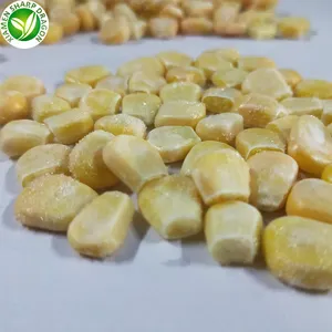 IQF Best Frozen Fresh Organic Sweet Whole Yellow Corn Kernel Freezing Without Blanching Wholesale Price Factory Bulk In A Bag