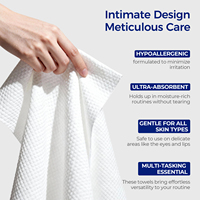 100% Viscose Nonwoven Antimicrobial Quick-Dry Disposable Face Towel (Compressed Mini Cortable Pack for Hotel Use)