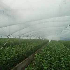 单跨塑料薄膜带灌溉系统的温室