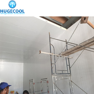 Hugecool Đi Bộ Trong Tủ Đông Lạnh Lưu Trữ Phòng Cho Thịt Cá Rau Trái Cây - Product Image 6