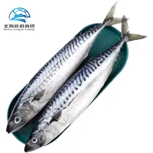 Vente en gros de produits compétitifs pêche fraîche au maquereau poisson maquereau du Pacifique congelé live100-200g entier iqf