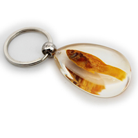 Kreativer Schlüssel bund Schlüssel ring transparenter Harz Bernstein mit Fisch Promotion Geschenk Business Geschenk Souvenir Logo kann hinzugefügt werden