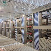 Système de cages en batterie de type H automatisé à rendement élevé (ROI) avec collecteur d'œufs pour poulailler d'une capacité de 40 000 poulets