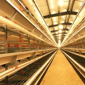 Chicken Layer Cages Poultry Hot Sale 500 Birds Chicken Egg Layer Cages Automatic Poultry Chicken Farm Layer Cage House Design