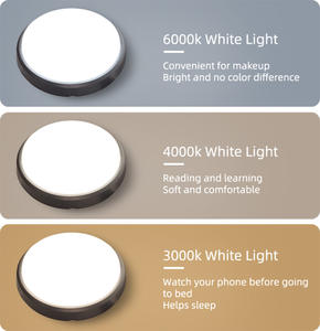 Plafonnier LED mural extérieur étanche IP65 rond ovale blanc noir CE <span class=keywords><strong>CB</strong></span> 12W 15W 18W, garantie 5 ans - Product Image 5