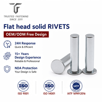 Rivets plats personnalisés TianFang pour cadres de signalétique extérieure, aluminium anodisé, conception OEM ODM et approvisionnement en gros, devis rapide