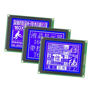 Wholesale 160*128 Graphic Lcd Display JXD160128A STN Negative LCM Module Lcd T6963C/UC6963 Manufacturer Cheap Wholesale Lcd