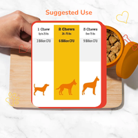Multivitamines liquides entièrement naturelles OEM/ODM pour chiens et chats - Soutien de la peau, du pelage et de la digestion |   Complément alimentaire multivitaminé
