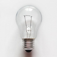 Ampoule à filament de tungstène en verre vintage pour la maison, globe transparent A19 60W 75W